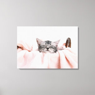 American Shorthair Cat Canvas Afdruk