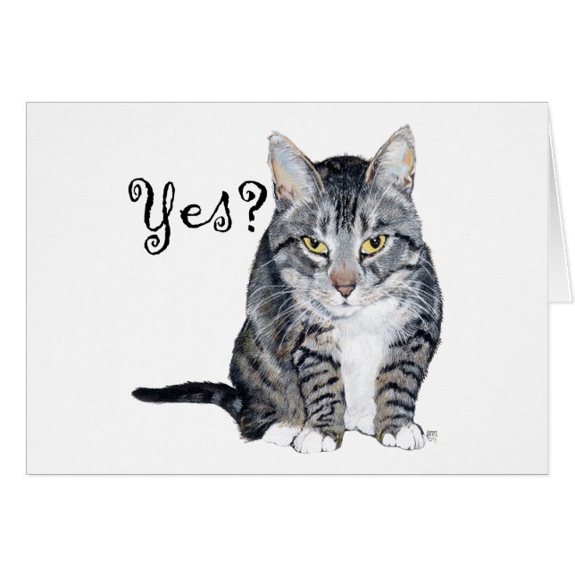 American Shorthair Cat - Ja? (Voorkant Horizontaal)