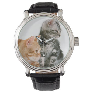 American Shorthair Horloge