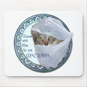 American Shorthair - Katten Spa, Ja! Muismat