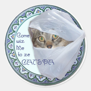 American Shorthair - Katten Spa, Ja! Ronde Sticker