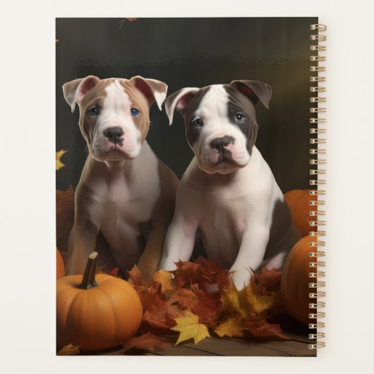 American Staffordshire Puppy Automne Délice (Dos)