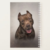 American Staffordshire Terrier (Dos)