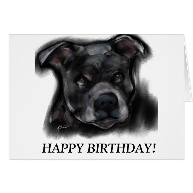 American Staffordshire Terrier (Devant horizontal)