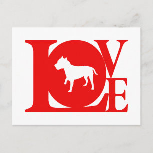 American Staffordshire Terrier Briefkaart