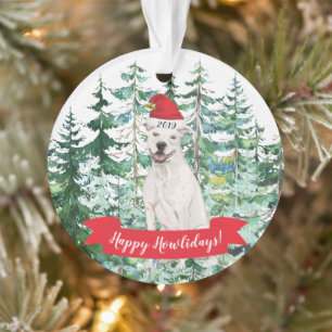 American Staffordshire terrier Chien Noël