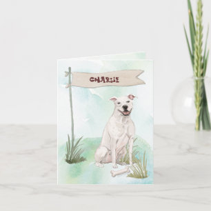 American Staffordshire Terrier Félicitations à