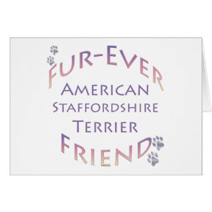 American Staffordshire Terrier Furever