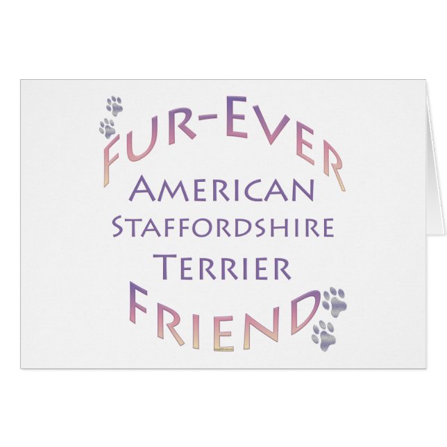 American Staffordshire Terrier Furever (Devant horizontal)