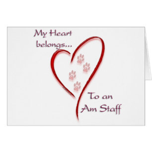 American Staffordshire Terrier Heart Belongs