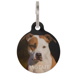 American Staffordshire Terrier Huisdierpenning