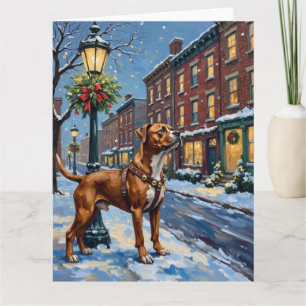 American Staffordshire Terrier Kerststad Kaart