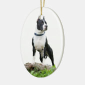American Staffordshire Terrier (Pit Bull) Ornament (Links)