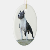 American Staffordshire Terrier (Pit Bull) Ornament (Rechts)