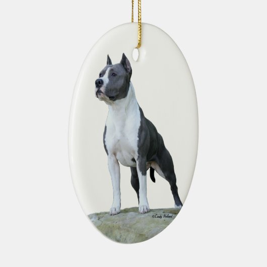 American Staffordshire Terrier (Pit Bull) Ornament (Rechts)