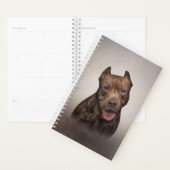 American Staffordshire Terrier Planner (Display)