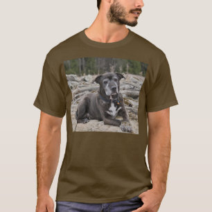 American Staffordshire Terrier - Shirten T-shirt