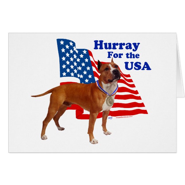 American Staffordshire Terrier USA (Devant horizontal)
