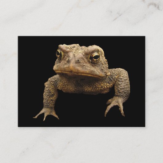 American Toad ATC Visitekaartje (Voorkant)