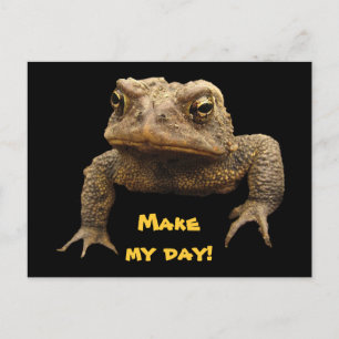 American Toad Briefkaart