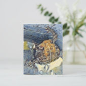 American Toad Digital Painting Briefkaart (Staand voorkant)