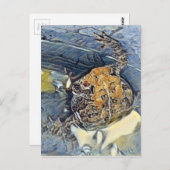 American Toad Digital Painting Briefkaart (Voorkant / Achterkant)