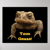 American Toad Earth Day Poster (Voorkant)