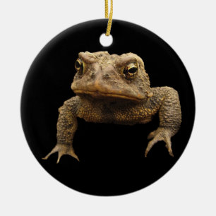 American Toad Keramisch Ornament