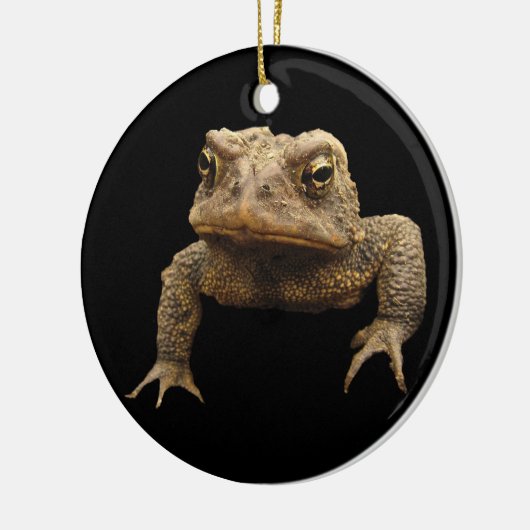 American Toad Keramisch Ornament (Links)