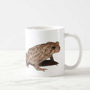 American Toad Mok