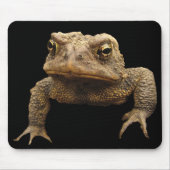 American Toad Muismat (Voorkant)
