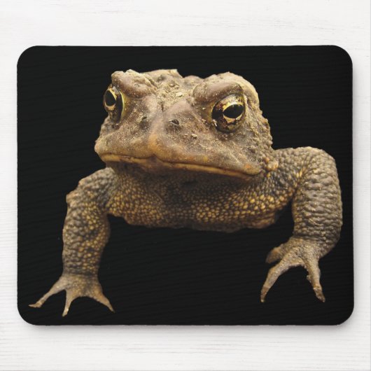 American Toad Muismat (Voorkant)