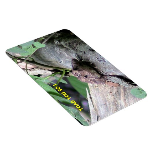 American Toad Premium Flexi Magnet (Côté Droit)