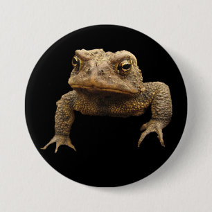 American Toad Ronde Button 7,6 Cm