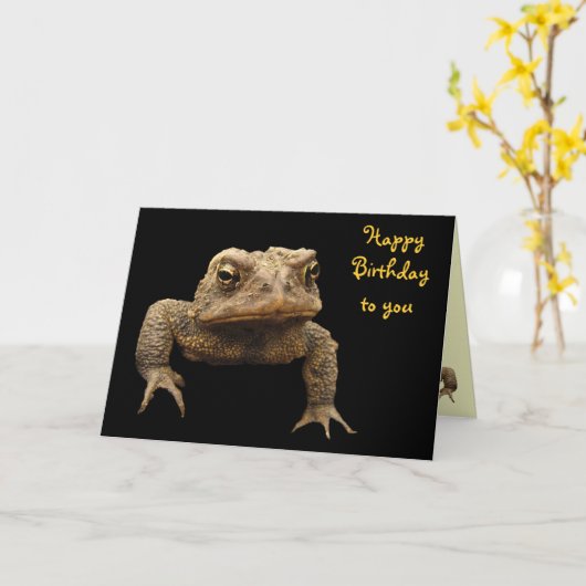American Toad Verjaardag Kaart (Gele Bloem)