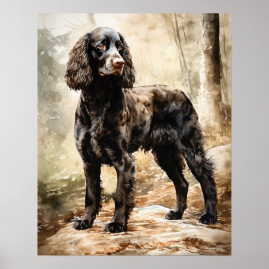 American Water Spaniel Dog Art Imprimer Poster (Devant)