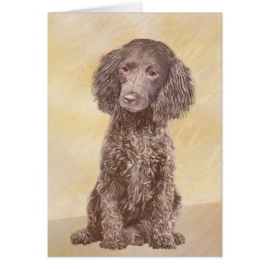 American Water Spaniel Peinture - Original Dog Art (Devant)