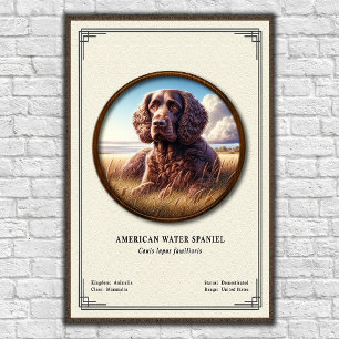 American Water Spaniel Zoölogische Serie Poster