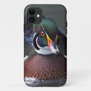 American Wood Duck iPhone 5 Hoesje-Mate Hoesje