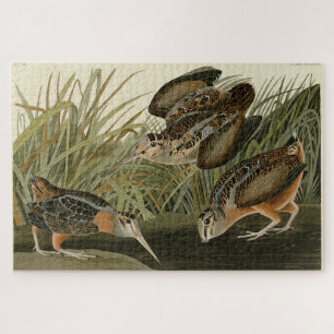 American Woodcock van Audubon's Birds of America Legpuzzel