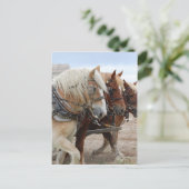 American Work Horse Briefkaart (Staand voorkant)