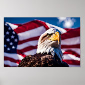 Americana Eagle Poster (Voorkant)