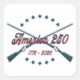 Amerika 250 gekruiste geweren patriottisch 1776-20 vierkante sticker