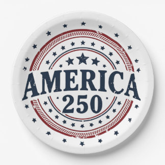 Amerika 250 Patriottisch Vintage Badge Papieren Bordje