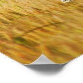 Amerika de prachtige afdruk poster (Hoek)