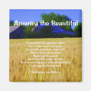 Amerika het mooie Magnet Magneet