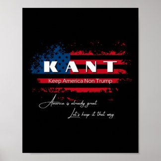 Amerika Niet Trump Grappig Anti Trump 2024 Pro Dem Poster