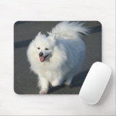 Amerikaan Eskimo mousepad Muismat (Met muis)