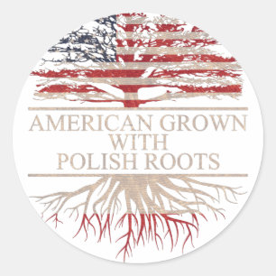 Amerikaan met poolse wortels ronde sticker