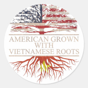 Amerikaan met vietnamese wortels ronde sticker